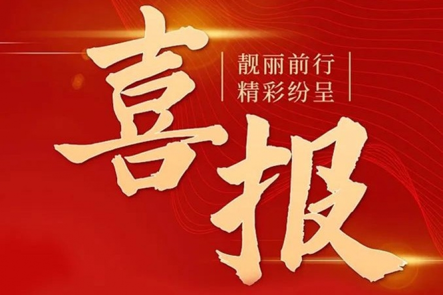 喜報｜浙江慶元歐迪實業有限公司榮獲2023年度“浙麗·清廉民營企業”
